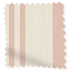 Gardiner Albany Rose sample image