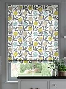 Blomma Kiwi Hissgardiner thumbnail image