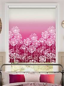 Dill Fuchsia Rullgardiner thumbnail image