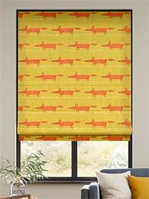 Mr Fox Sunshine Hissgardiner thumbnail image
