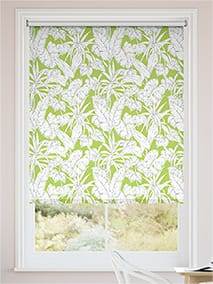 Parlour Palm Kiwi Rullgardiner thumbnail image