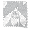 Rullgardin Snowdrop Dovegrey sample image