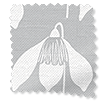 Snowdrop Dovegrey Hissgardiner swatch image