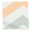 Vector Border Apricot Hissgardiner swatch image