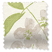 Hissgardin Wisteria Blossom Trail Fern sample image